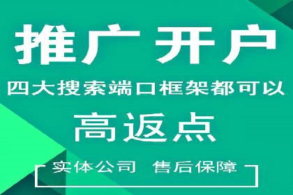 精选百度推广代理成功案例分享